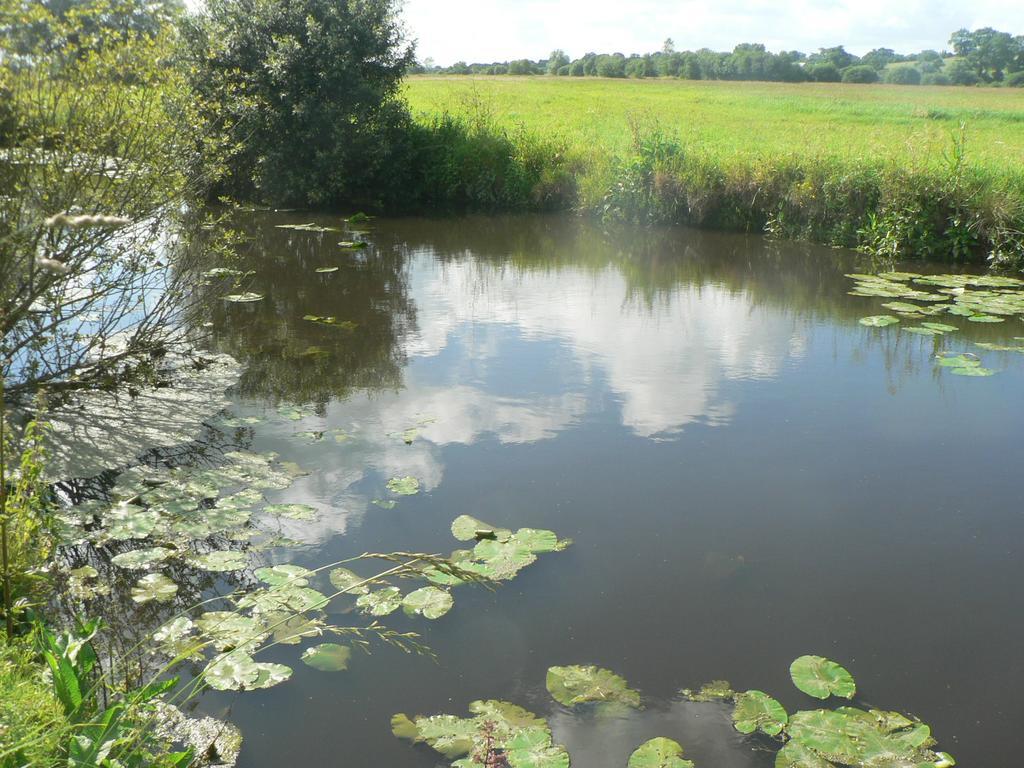 Gite De L'Aure Trevieres Buitenkant foto
