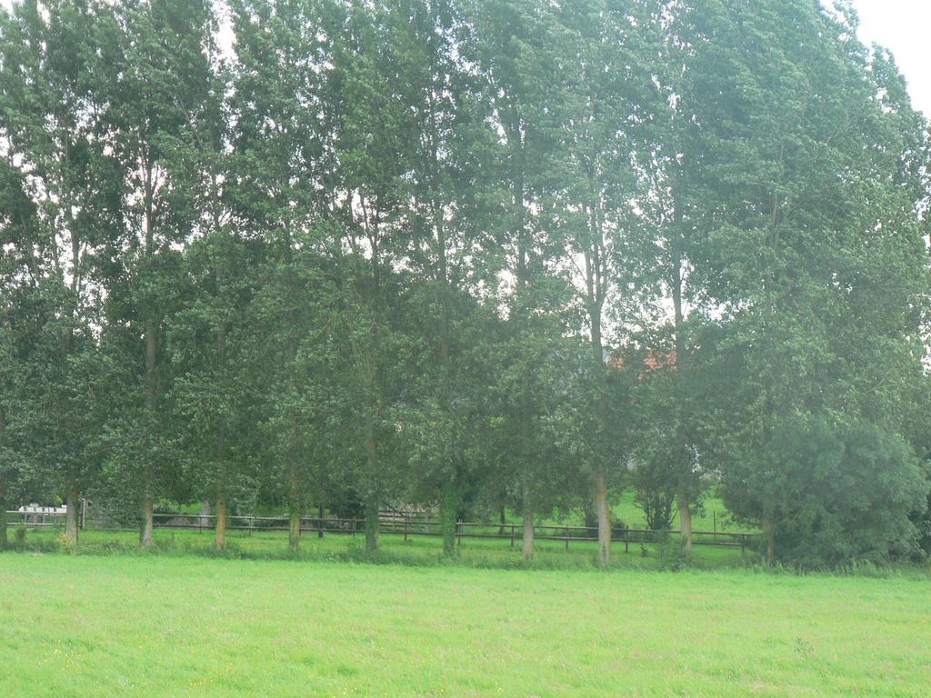 Gite De L'Aure Trevieres Buitenkant foto