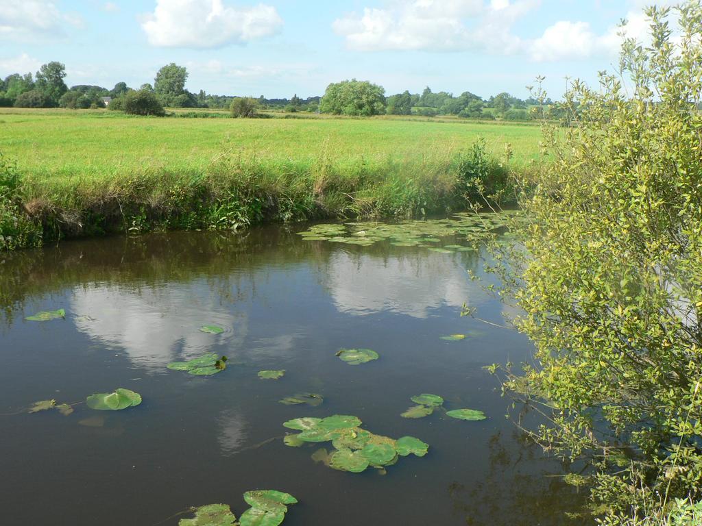 Gite De L'Aure Trevieres Buitenkant foto